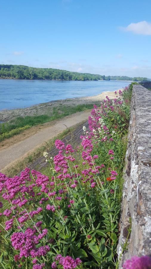 Apartamento Le Cosy Loire Appart Les Rosiers Exterior foto